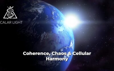 Lesson 2.3 – Coherence, Chaos & Cellular Harmony